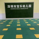 广东省深圳市宝安区宝乐幼儿园 